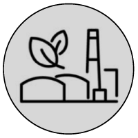 Biomass Energy